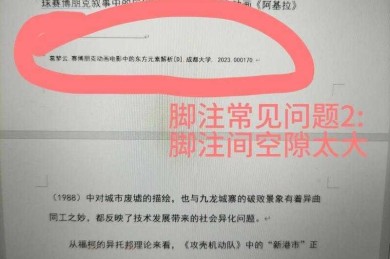 别再为标注烦恼了！一文彻底搞懂“论文文献脚注怎么标注”