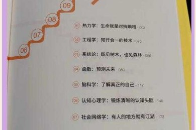 别让宝藏蒙尘！学术老司机带你解锁论文附录的正确打开方式