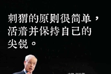 从普通到卓越：我们如何成为精英议论文的深度解构