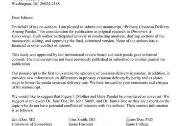 论文 Coverletter 是什么