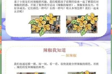 从种子到论文：一位高中生与辣椒种植的奇妙探索之旅