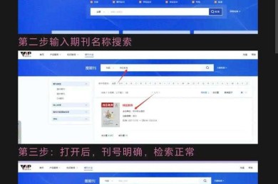 从菜鸟到高手：5个被低估的硕博论文检索技巧