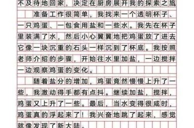 别再犯愁了！论文消融实验怎么描述？看完这篇你也能成为专家