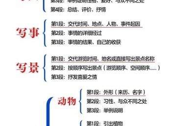高手写作的秘密武器：议论文结构如何提升你的表达力