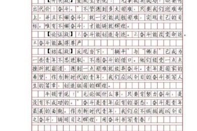 解码中国美作文议论文：学术研究方法与写作范式探索