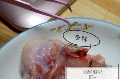 从厨房到实验室：解剖鸡翅论文的逆向写作法