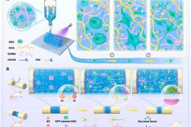 科研干货：从文献碎片到学术拼图的材料整合术