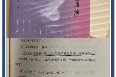 揭开学术面纱：深入探索什么的写论文之旅