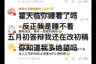 翟天临论文是什么时候的