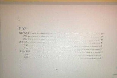 论文写作避坑指南：论文怎么重置页码不变？这个细节可能让你前功尽弃