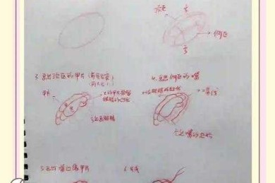 蛇口的口怎么写论文步骤