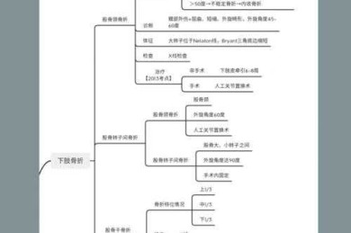 如何系统解剖青年运动史：从选题到传播的全链条研究指南