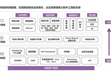 识别与创作真正的爱议论文：基于数据驱动的学术指南