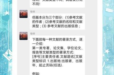 论文文献i什么：从新手到高手的文献管理全攻略