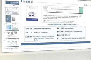 从新手到专家：用中图法高效定位学术文献的实战指南