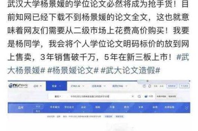 学术黑市探秘：为什么你的论文会被明码标价？