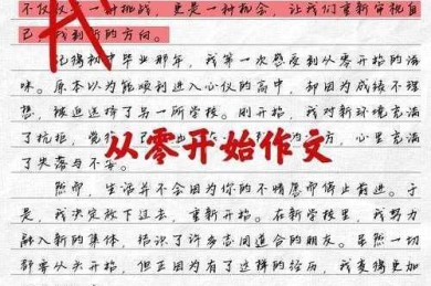 从零开始掌握评论型作文：学术视角下的写作方法论