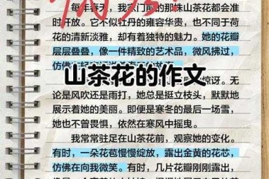 从选题到答辩：茶花女论文怎么写才能让导师眼前一亮？