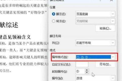 还在为格式头疼？手把手教你「wps论文脚注怎么加」的终极方案