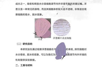 解锁科研密码：核心论文有什么这些关键元素？