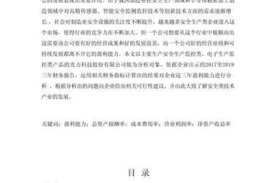 不止于利润：一篇卓越的盈利能力论文的深度创作指南