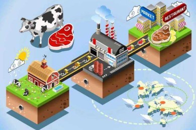 从烧杯到代码库：论文实验室的认知重构与操作指南