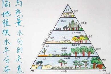 从空间治理到行为干预：地理学视角下的环境保护路径探索