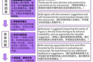 审稿意见秒回是禁忌？7个科学策略让你的修改稿命中率翻倍
