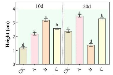 从菜鸟到高手：论文中柱形图怎么制作才能让审稿人眼前一亮？