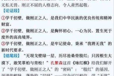 你是否也曾疑惑：论文为什么都是长句？一篇让你豁然开朗的深度解析