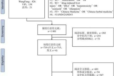 IEEE论文高效检索指南：从新手到专家的全流程解析