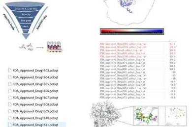 全球学术导航指南：优质论文官网的多维筛选模型解析