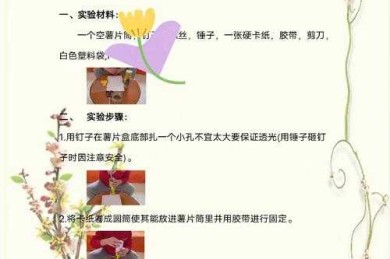 科技论文专栏怎么写