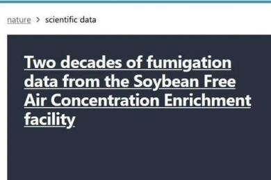 被忽略的页面美学：3个维度提升论文视觉说服力