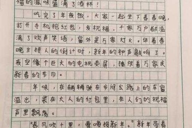 卖年货论文怎么写初中