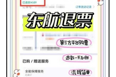 从零到一：揭秘如何高效完成一篇关于“东航退票论文怎么写”的学术研究