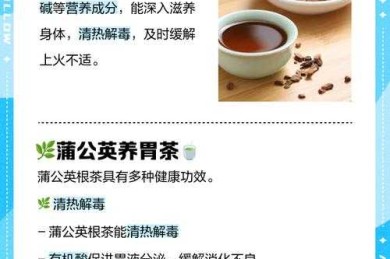 搞定蒲公英茶饮料论文的实战秘笈：科研老鸟的避坑经验分享