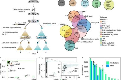 科研人员必看：解密SCI论文8分背后的真实含义