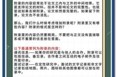 揭秘学术写作的隐藏宝库：论文中的附录是什么