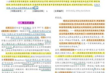 世纪论文是什么