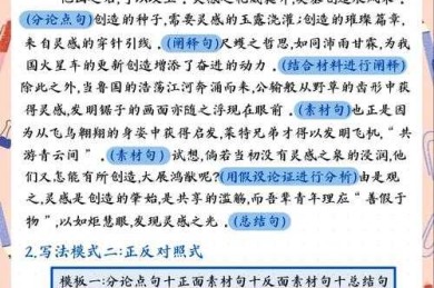 高考议论文写作的学术解码：一篇让你少走弯路的实战指南