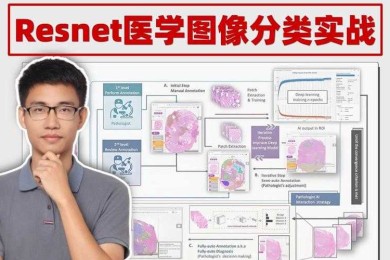 论文交稿前崩溃？手把手教你拆解“vlog论文怎么改”这个硬骨头！