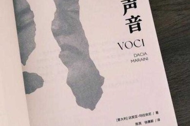 雪落无声的科学探秘：声学、行为学与心理感知的交响曲