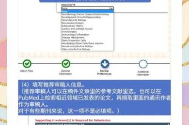 搞定论文大作战：资深学术狗的高效通关指南