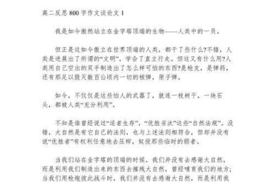 论文反思范文怎么写