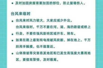 论文救命锦囊：当你的心血被抄袭，这份生存指南请收好！