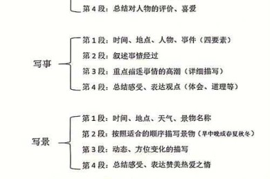 揭秘高效写作的黄金法则：如何写议论文作文提纲，从此告别杂乱无章