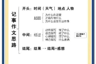 解开写作迷雾：议论文提纲的真正意义