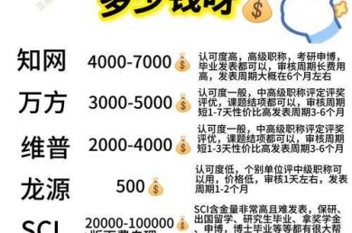 揭秘学术痛点：翻译论文什么价位？——避开那些价格陷阱，轻松搞定国际发表！