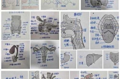 学术地图绘制指南：一篇专业文献综述的完整解剖图